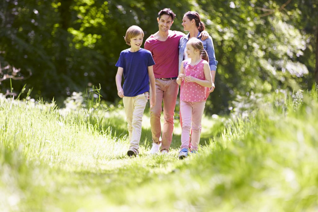 42271078 – family walking through summer countryside